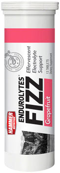 Hammer Nutrition Endurolytes Fizz