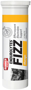 Hammer Nutrition Endurolytes Fizz