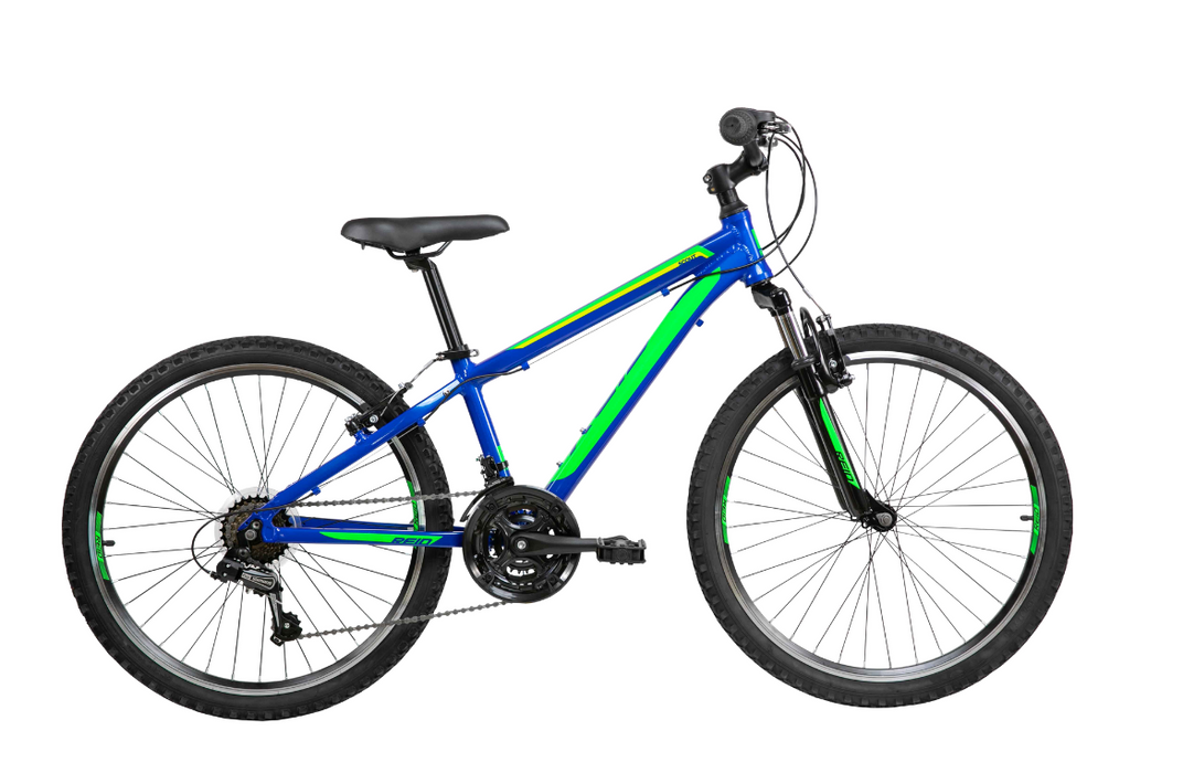 Reid Scout 24 Kids Mountain Bike - Blue/Green 2021